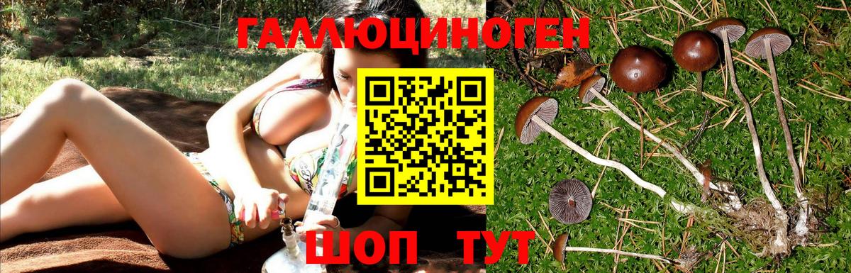 Куйбышев  Псилоцибиновые грибы Magic Shrooms  Вход с VPN 